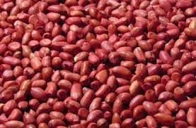 BADAM DANA/ MUNGFALI 250GM