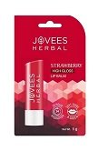 JOVEES HERBAL STRAWBERRY LIP BALM 5GM